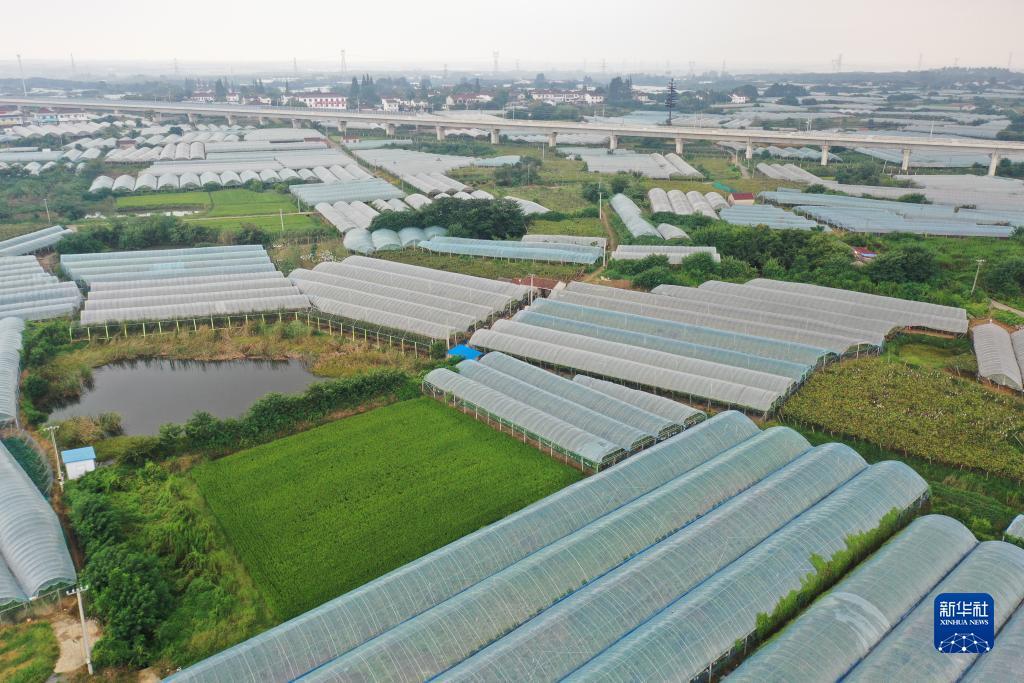 威尼斯9579网址改啥了